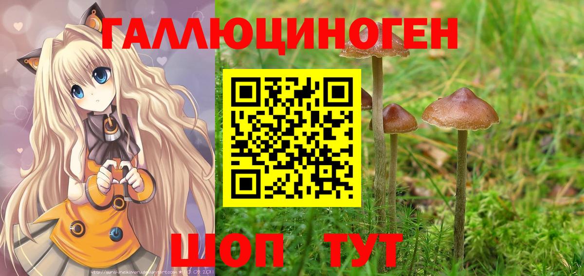 Галлюциногенные грибы прущие грибы Зеленокумск