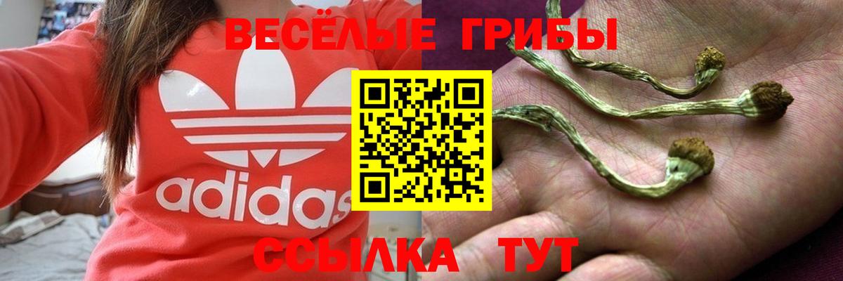 что такое   Вход с VPN  Галлюциногенные грибы мицелий  Зеленокумск  Псилоцибиновые грибы прущие грибы 